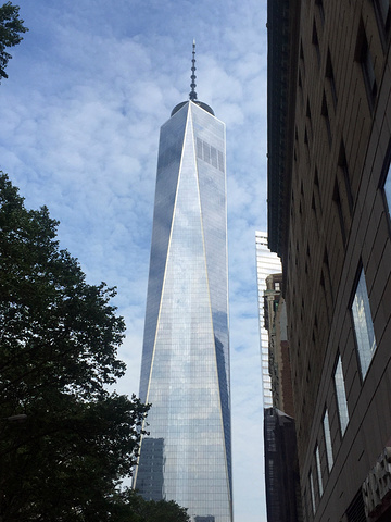 在纽约我们游览了新落成的世贸中心地铁站也叫纽约地铁富尔顿换乘中心