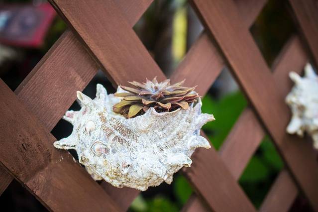 Chi Chi-pong 兔子冰淇淋