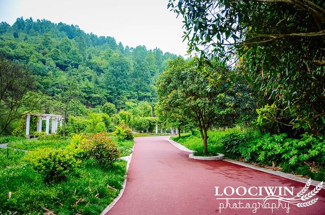 龙潭游客服务中心