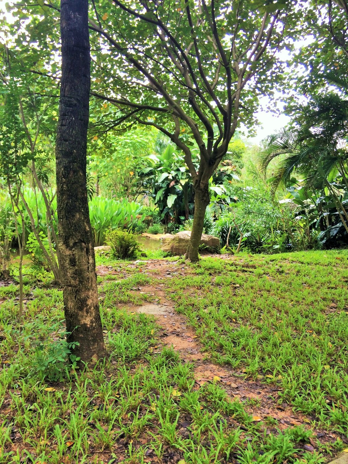 2019莲花山公园游玩攻略,公园内还有不少假山