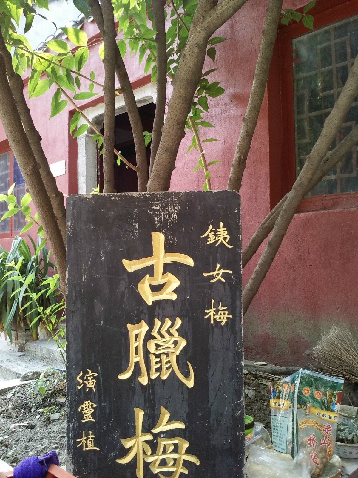 真心感谢铁女寺不大仅由山门章劝殿观音殿藏经楼大雄宝殿所组成寺庙内