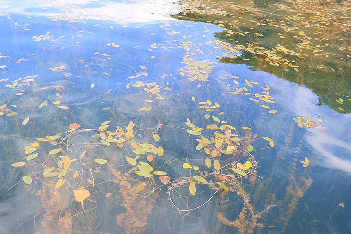 青旅的懒人房也是最好地诠释了人家取名的寓意