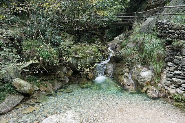 莲花洞森林公园