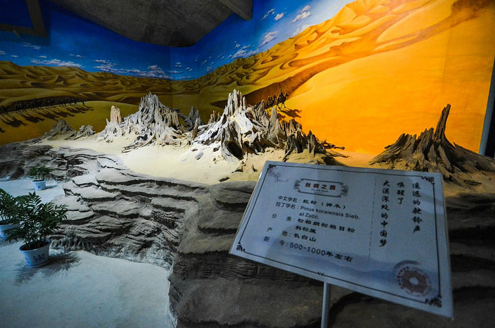 2018.光农业、高端民宿等业态,吸引了太湖龙之