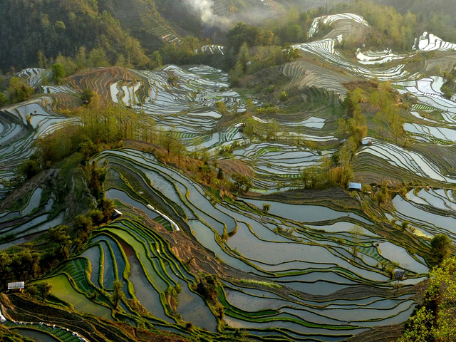 "这里是元阳山势最险峻、气势最恢宏壮观的梯田，堪称“大地雕塑”的典范。摄于元阳老虎嘴梯田景区_老虎嘴景区"的评论图片