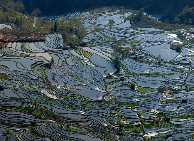 "这里是元阳山势最险峻、气势最恢宏壮观的梯田，堪称“大地雕塑”的典范。摄于元阳老虎嘴梯田景区_老虎嘴景区"的评论图片