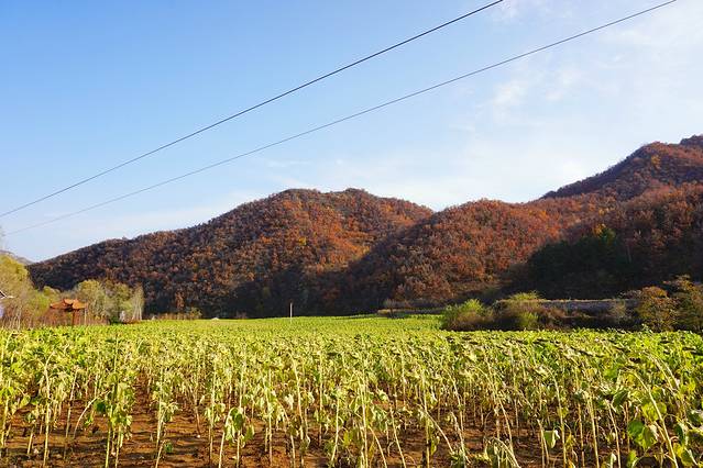 北京喇叭沟原始森林公园
