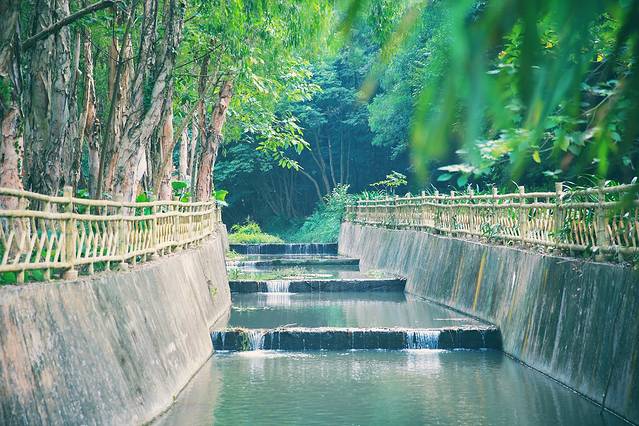 凤凰山森林公园