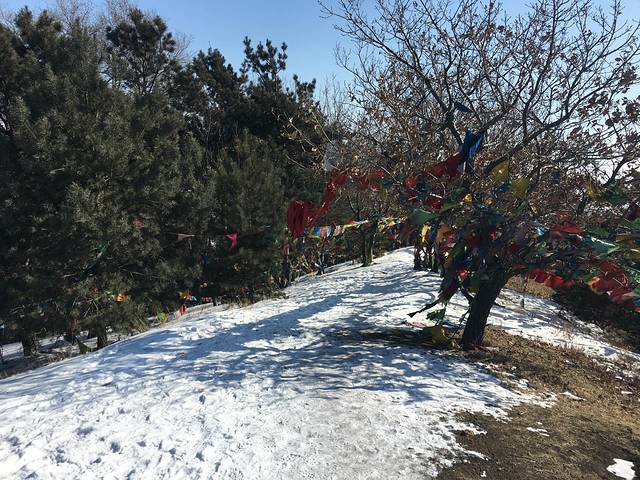 驿马山森林公园