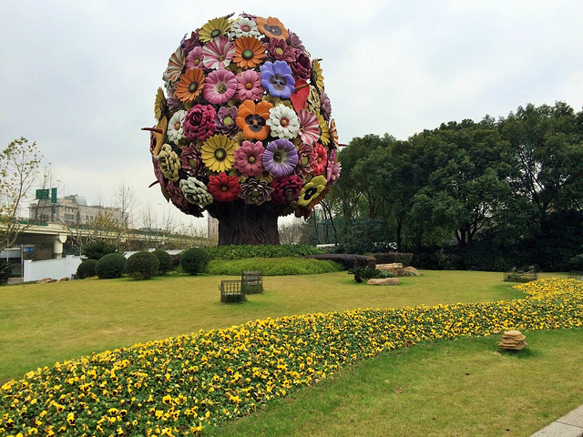 花树弄得非常有特色很好看四周的绿化颜色搭配也正好衬托出花树的色彩