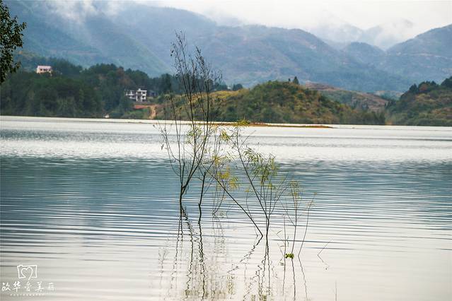 龙湾国家湿地公园