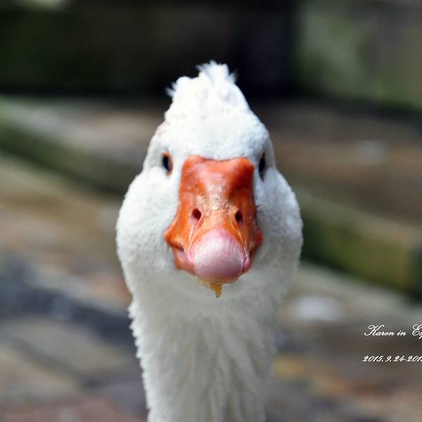 2018巴塞罗那大教堂门票,巴塞罗那巴塞罗那大