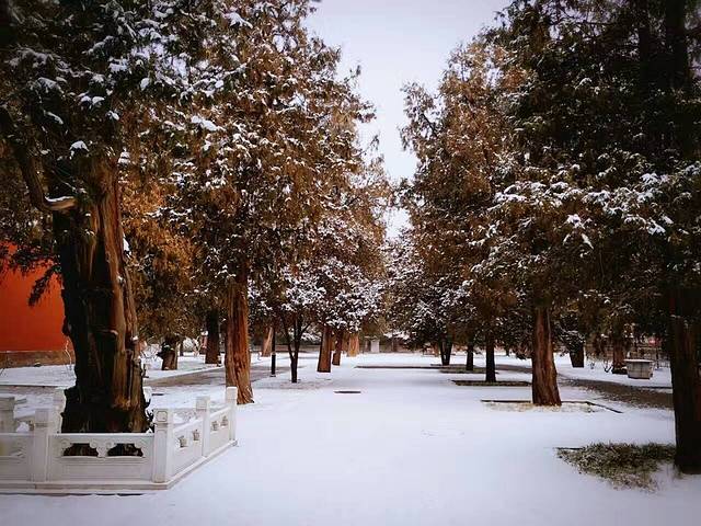 北京市劳动人民文化宫