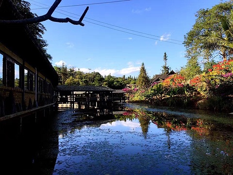 中科院西双版纳热带植物园旅游景点攻略图