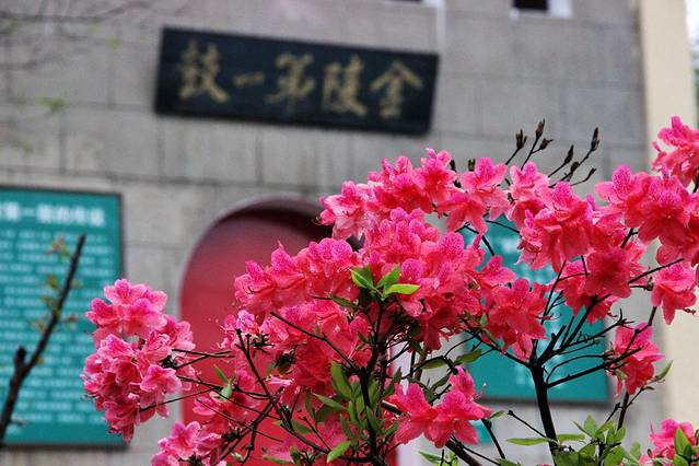 老山国家森林公园