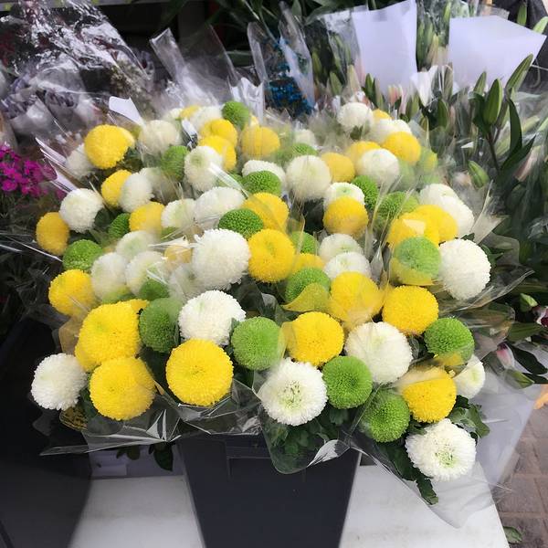 2019荷兰花卉小镇门票,深圳荷兰花卉小镇游玩