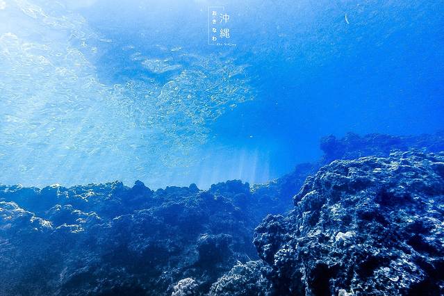 Blue Holic青之洞窟