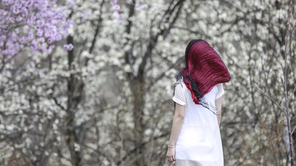 梨花浅笑 金川梨花开 摇曳一片白 金川旅游攻略 游记 去哪儿攻略 梨花浅笑 金川梨花开 摇曳一片白 金川旅游攻略 游记 去哪儿攻略