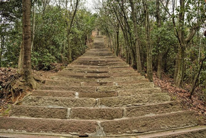 "天子山景区天子山是张家界最早开发出来的景点之一，天子山有着天下峰林“扩大的盆景，缩小的仙境”之称_张家界国家森林公园"的评论图片