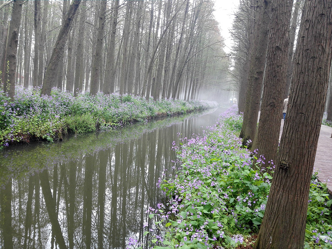 惊喜的兴化之旅-泰州旅游攻略-游记-去哪儿攻略