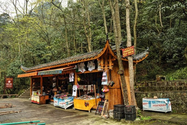 "天子山景区天子山是张家界最早开发出来的景点之一，天子山有着天下峰林“扩大的盆景，缩小的仙境”之称_张家界国家森林公园"的评论图片