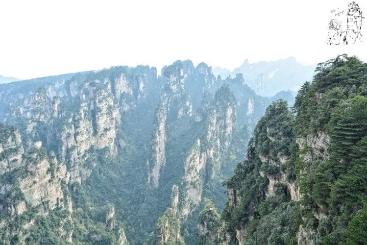 "天子山景区天子山是张家界最早开发出来的景点之一，天子山有着天下峰林“扩大的盆景，缩小的仙境”之称_张家界国家森林公园"的评论图片