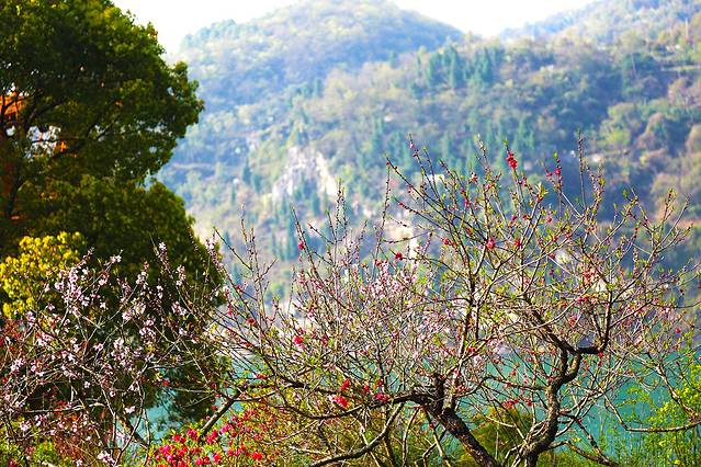 西陵峡世外桃源