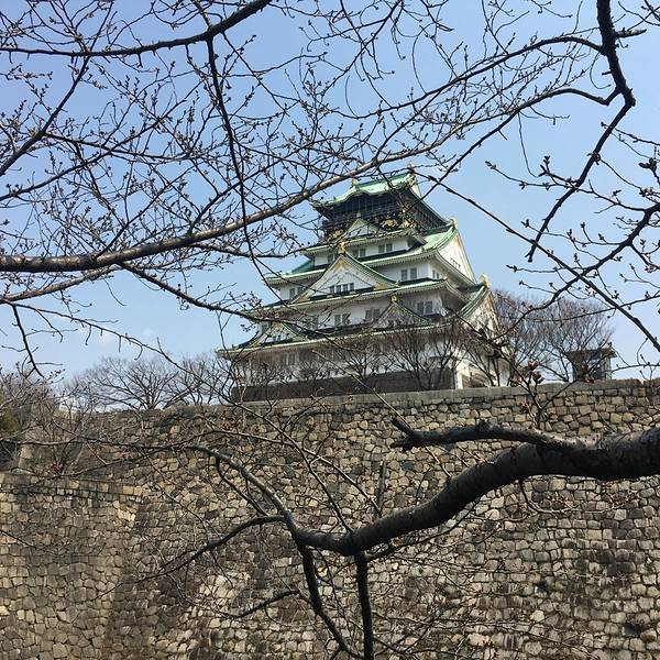 2018大阪城公园门票,大阪大阪城公园游玩攻略