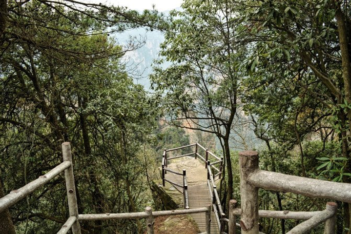 "天子山景区天子山是张家界最早开发出来的景点之一，天子山有着天下峰林“扩大的盆景，缩小的仙境”之称_张家界国家森林公园"的评论图片