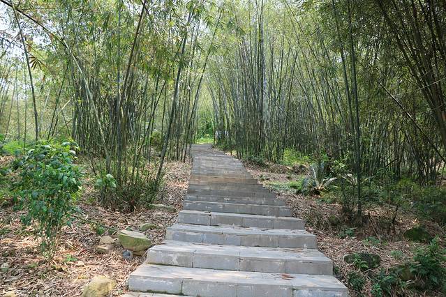 羚羊峡古栈道森林公园