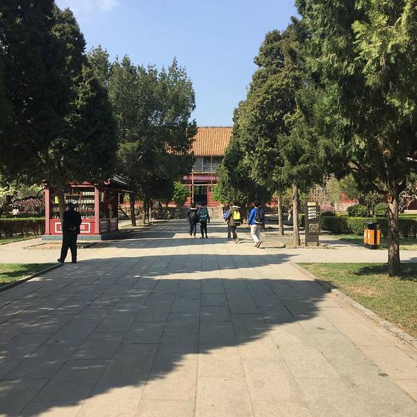 泰山旅游景点_2017年泰山旅游收入(3)
