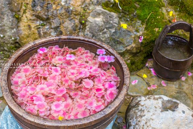 酉阳桃花源景区