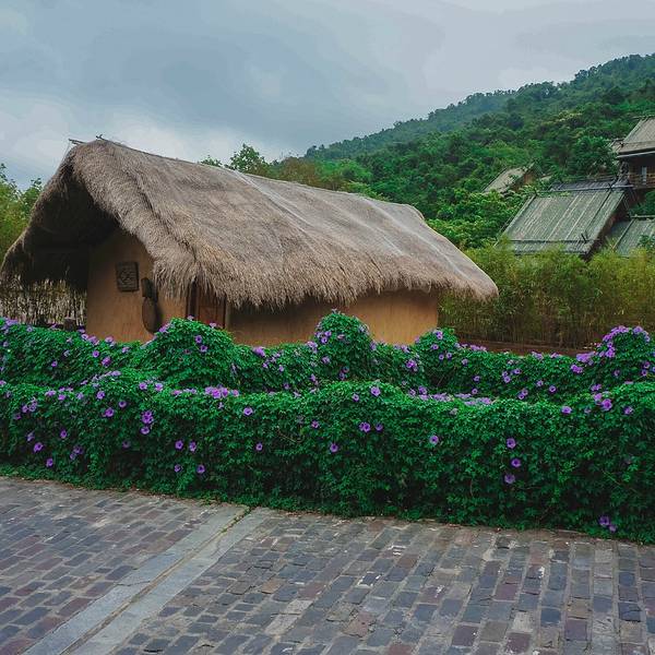 2019槟榔谷门票,三亚槟榔谷游玩攻略,槟榔谷游