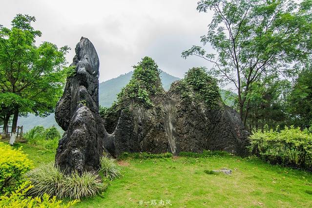 玉石林风景区