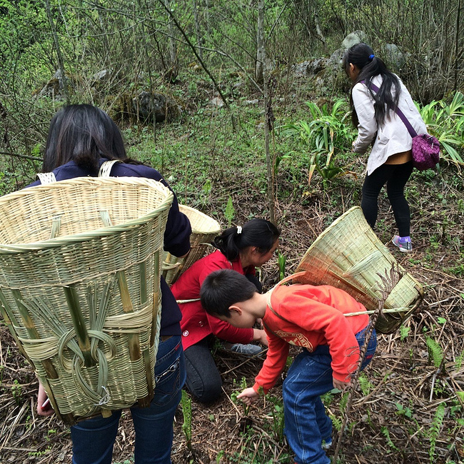 大山的礼物图片 大山的礼物图片