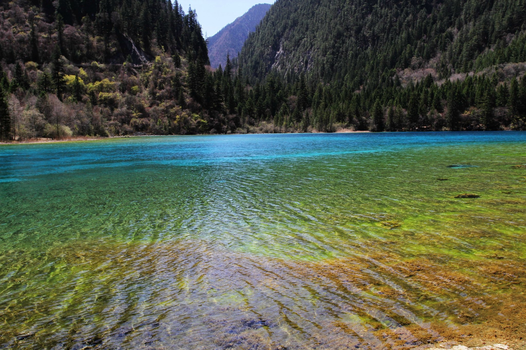 黄龙九寨沟旅游攻略(黄龙旅游攻略景点介绍)
