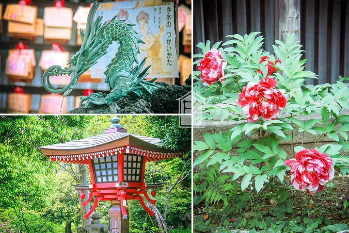 2017这一天,我们买了一张一日通地铁票,挑了几