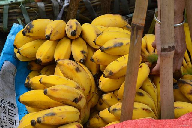 山青水秀,大美阳山
