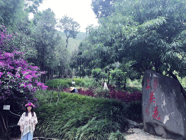 2024算下来是苍山所有索道中最便宜的，天龙洞是天龙八部外景拍摄地，算是一个溶洞吧，不算大_上关花景区-评论-去哪儿攻略