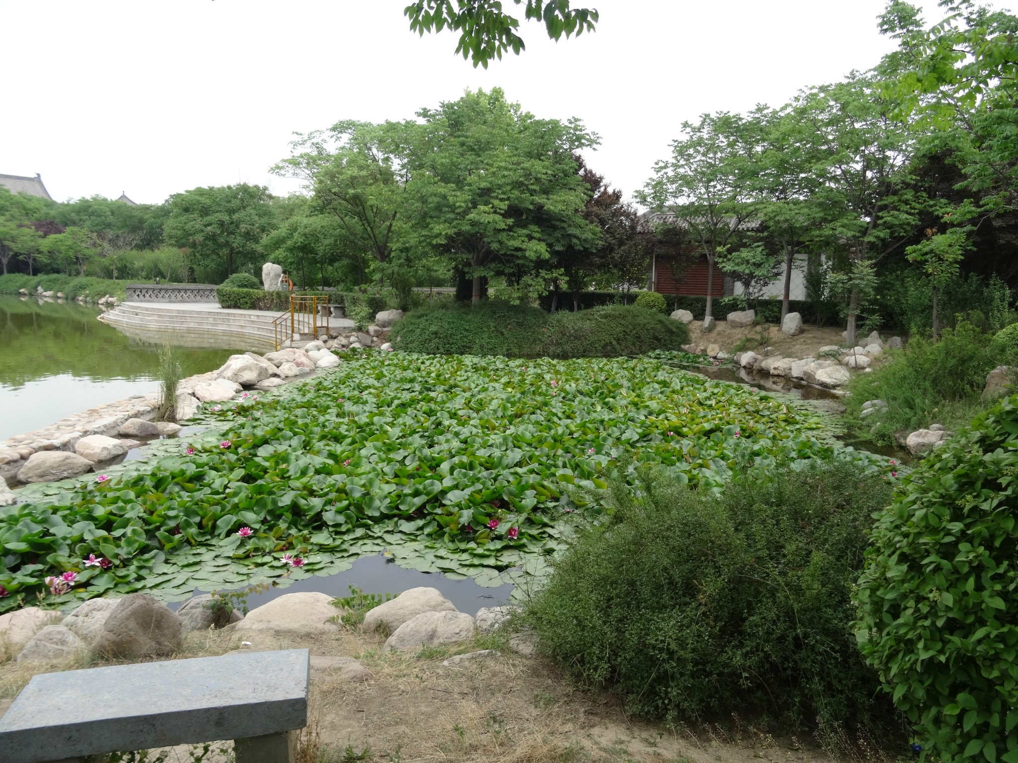 洪洞大槐树寻根祭祖园占地面积很大就是一个大花园里面的内容丰富我们