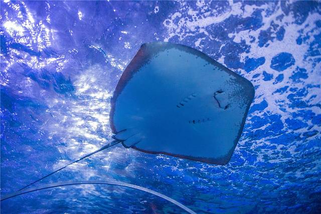 多彩贵州城极地海洋世界