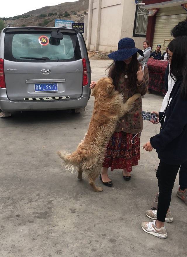 雅鲁藏布江小峡谷