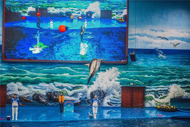 多彩贵州城极地海洋世界