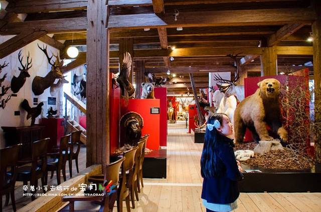 瓦尔德玛斯古堡