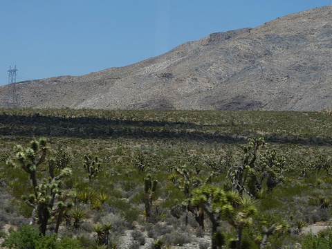 拉斯维加斯奥特莱斯北店旅游景点图片