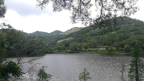 黄花山森林公园旅游景点攻略图