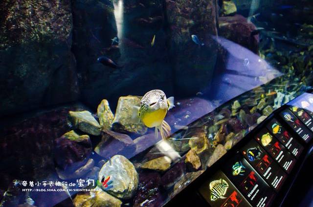 丹麦国立水族馆