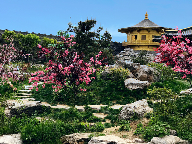 假装在逛皇上的御花园,假装记几很美腻,假装回到了古时候~导演最满意