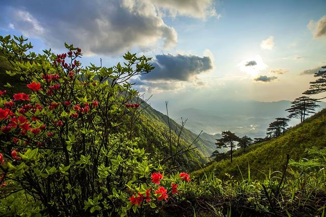 下一站(中心商务区店)