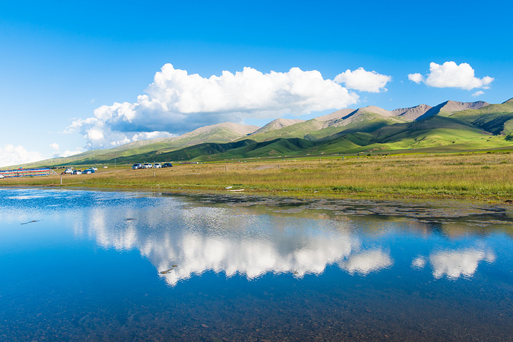 青海湖还被中国国家地理评为中国最美丽的湖泊油菜花盛开绿野黄花湖蓝